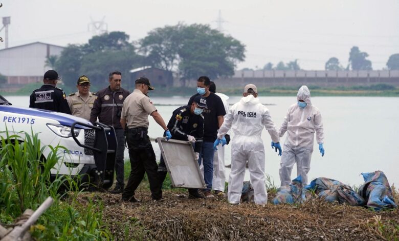 Hallados ocho cadáveres encerrados en bolsas, tras la desaparición de miembros de una misma familia Hallados ocho cadáveres encerrados en bolsas, tras la desaparición de miembros de una misma familia